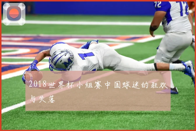 2018世界杯小组赛中国球迷的狂欢与失落