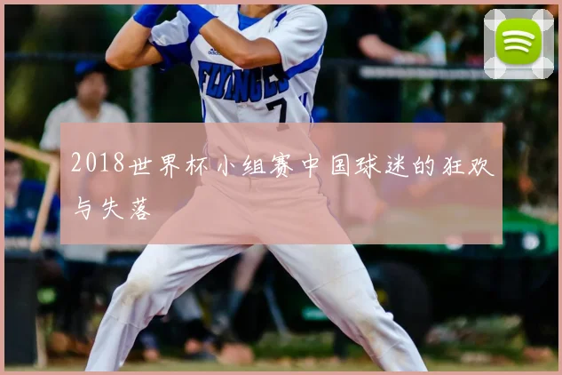 2018世界杯小组赛中国球迷的狂欢与失落