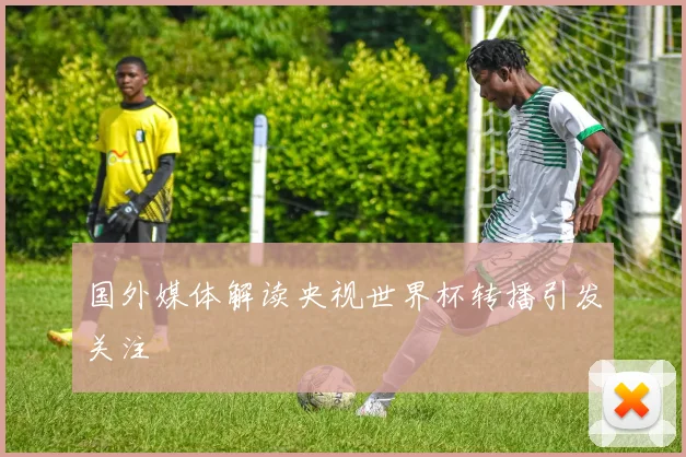国外媒体解读央视世界杯转播引发关注