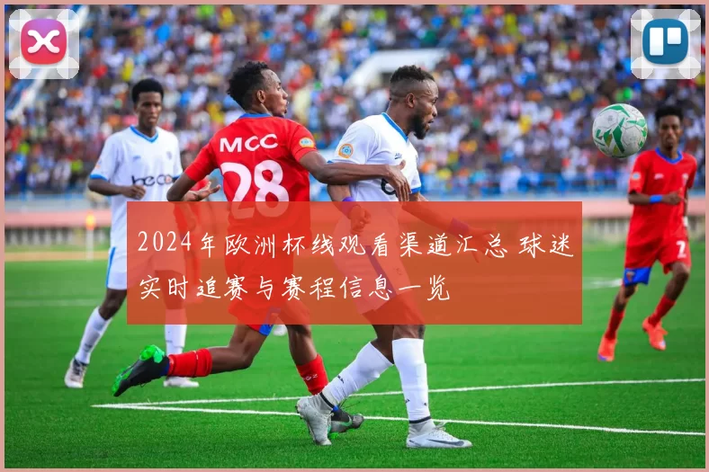 2024年欧洲杯线观看渠道汇总 球迷实时追赛与赛程信息一览