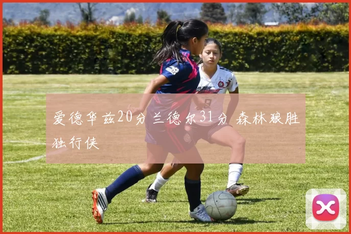 爱德华兹20分兰德尔31分 森林狼胜独行侠