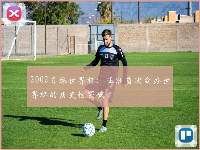 2002日韩世界杯：亚洲首次合办世界杯的历史性突破