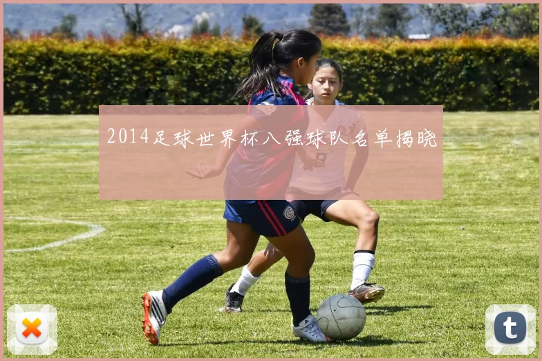 2014足球世界杯八强球队名单揭晓