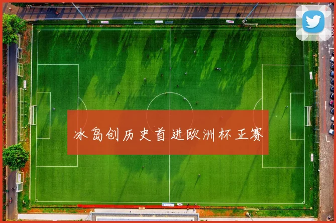 冰岛创历史首进欧洲杯正赛