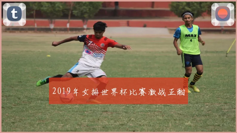 2019年女排世界杯比赛激战正酣