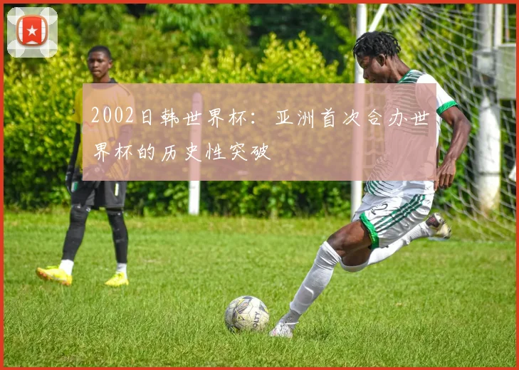 2002日韩世界杯:亚洲首次合办世界杯的历史性突破