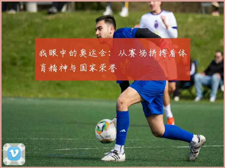 我眼中的奥运会：从赛场拼搏看体育精神与国家荣誉