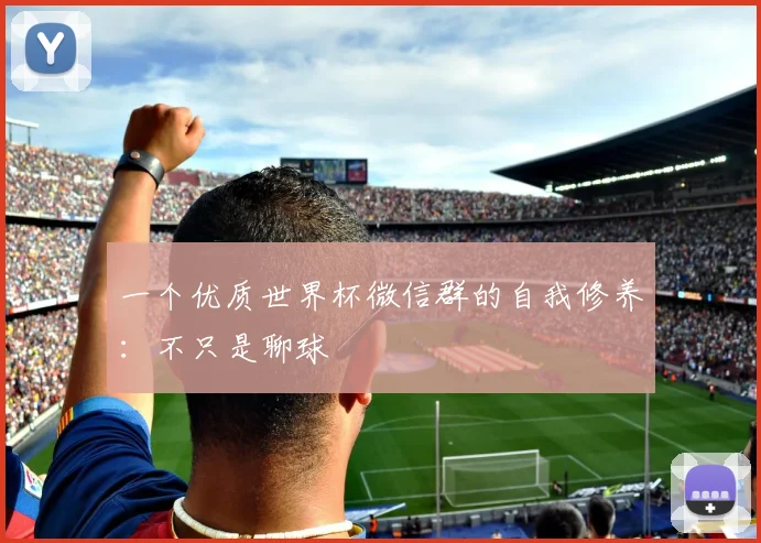 一个优质世界杯微信群的自我修养：不只是聊球