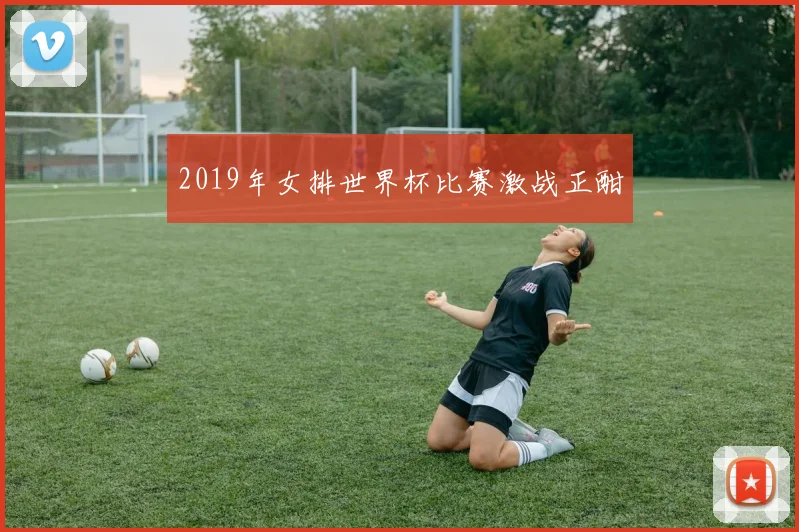 2019年女排世界杯比赛激战正酣