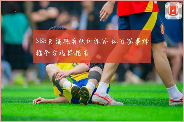 SBS直播观看软件推荐 体育赛事转播平台选择指南