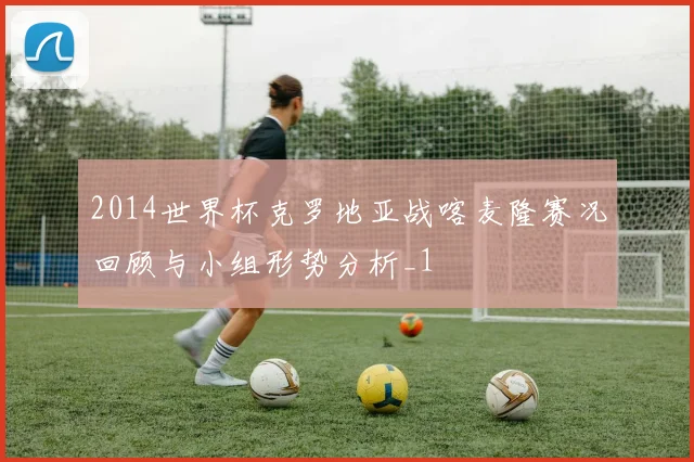 2014世界杯克罗地亚战喀麦隆赛况回顾与小组形势分析_1