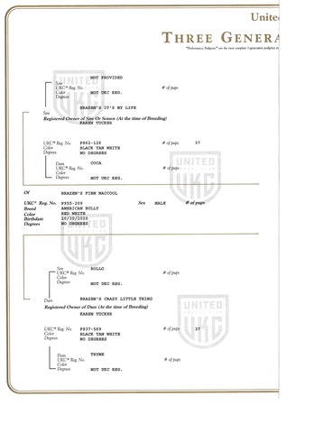 UKC Registration Pg 2