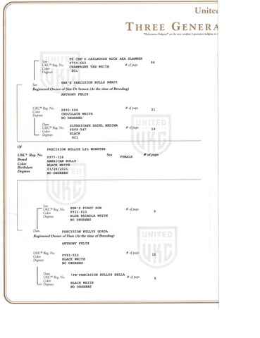 UKC Registration Pg 2
