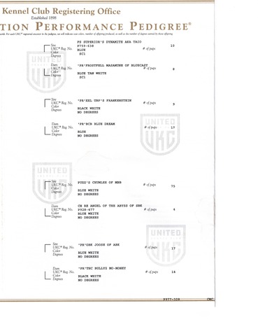 UKC Registration Pg 3