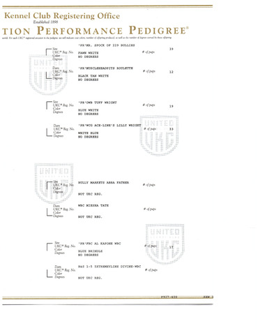 Mysti UKC Registration 3