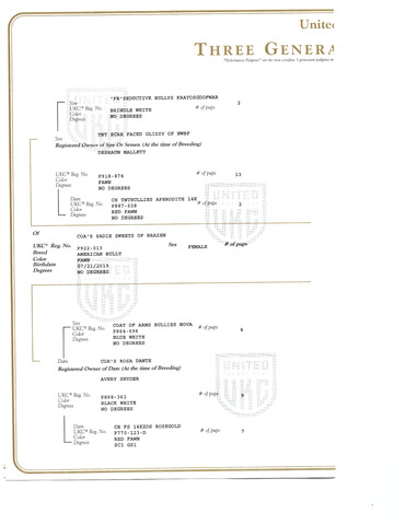 UKC Pg2