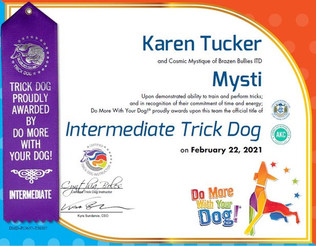 Mysti DMWYD Intermediate Trick Dog