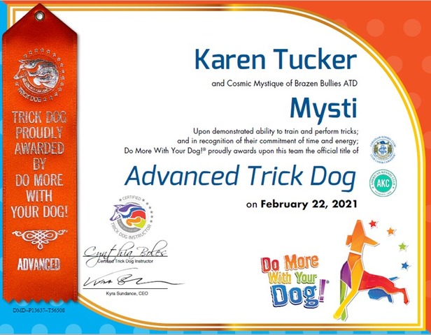 Mysti DMWYD Advanced Trick Dog
