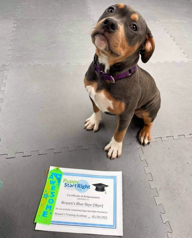 Skye Preschool Graduation