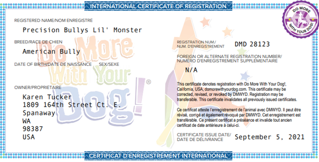 DMWYD Registration