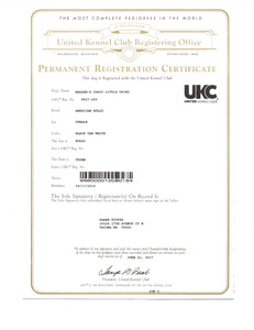 Kimber UKC
