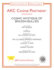 Mysti AKC