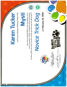Mysti DMWYD Novice Trick Dog 2