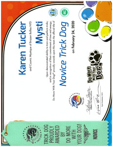Mysti DMWYD Novice Trick Dog