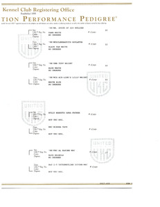 Mysti UKC Registration 3