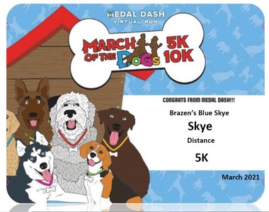 Skye Metal Dash March of the Dogs 2021