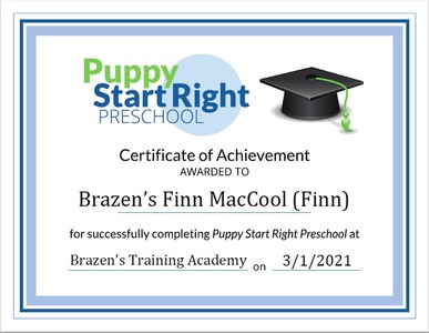 Finn Puppy Preschool Certificate