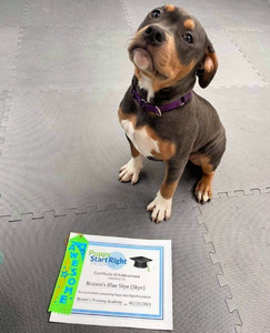 Skye Preschool Graduation