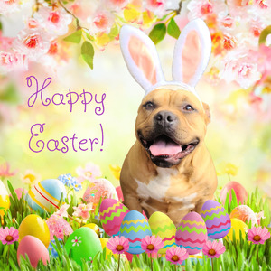 Happy Easter 2021
