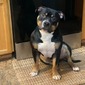 Winston (Winston)